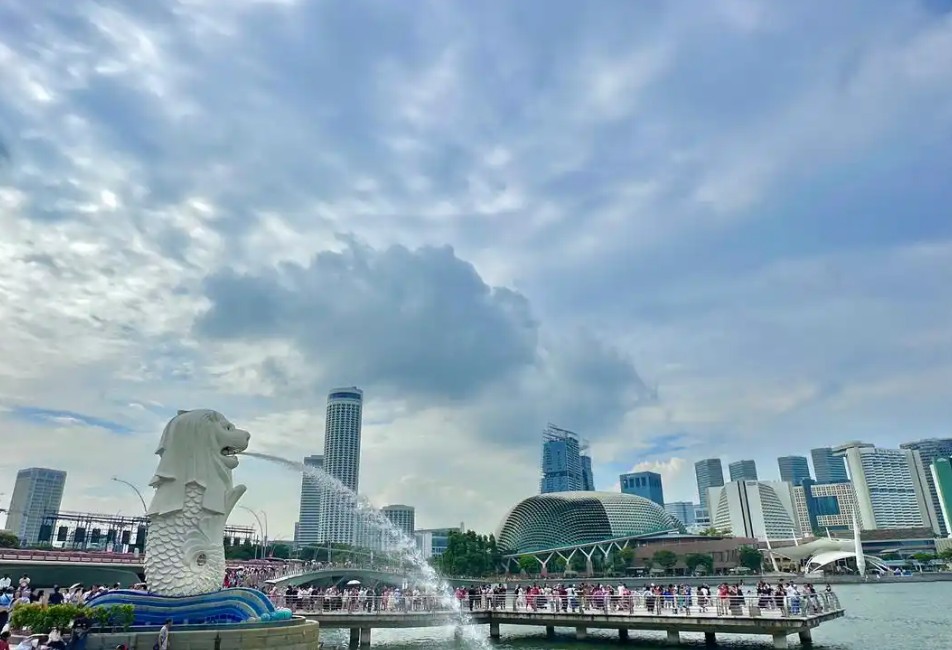 新加坡城网.jpg